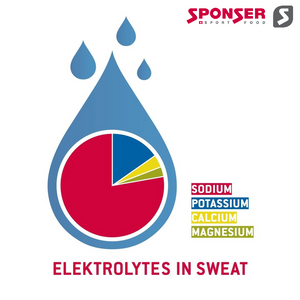 Electrolytes in sports nutrition: function, importance and tips
