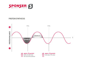 Protein: All you need to know as an endurance athlete